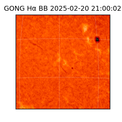 gong - 2025-02-20T21:00:02