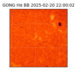 gong - 2025-02-20T22:00:02