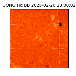 gong - 2025-02-20T23:00:02