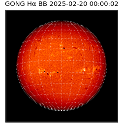 gong - 2025-02-20T00:00:02