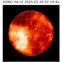 gong - 2025-02-20T02:10:42
