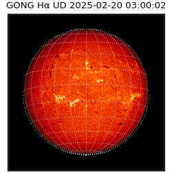 gong - 2025-02-20T03:00:02