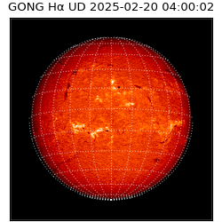 gong - 2025-02-20T04:00:02