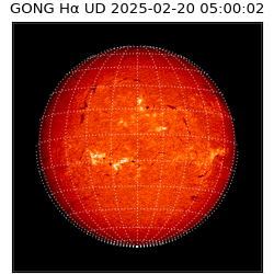 gong - 2025-02-20T05:00:02