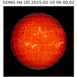 gong - 2025-02-20T06:00:02
