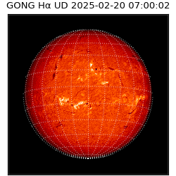 gong - 2025-02-20T07:00:02