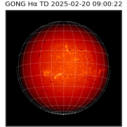 gong - 2025-02-20T09:00:22