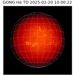 gong - 2025-02-20T10:00:22