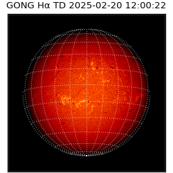 gong - 2025-02-20T12:00:22
