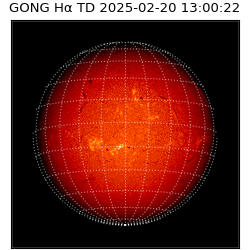 gong - 2025-02-20T13:00:22
