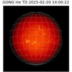 gong - 2025-02-20T14:00:22