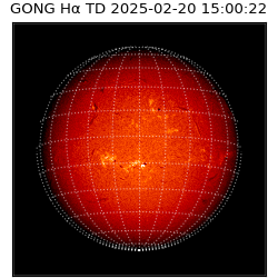 gong - 2025-02-20T15:00:22