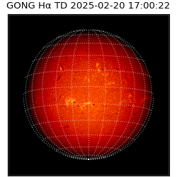 gong - 2025-02-20T17:00:22