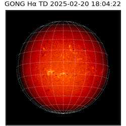 gong - 2025-02-20T18:04:22