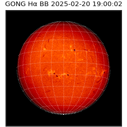 gong - 2025-02-20T19:00:02