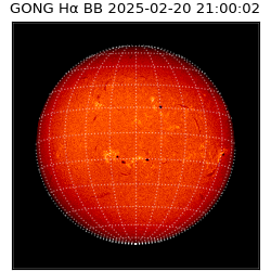 gong - 2025-02-20T21:00:02