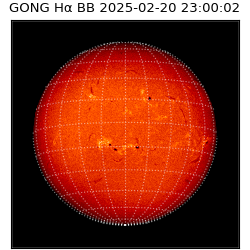 gong - 2025-02-20T23:00:02