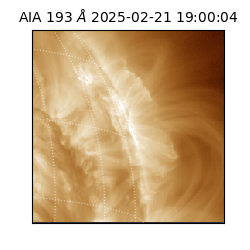 saia - 2025-02-21T19:00:04.843000