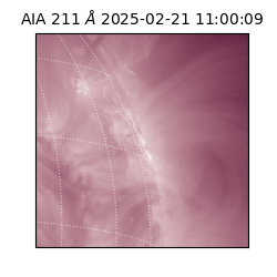 saia - 2025-02-21T11:00:09.626000