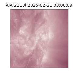 saia - 2025-02-21T03:00:09.630000