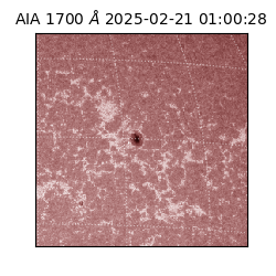 saia - 2025-02-21T01:00:28.725000