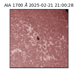 saia - 2025-02-21T21:00:28.717000