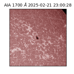 saia - 2025-02-21T23:00:28.717000