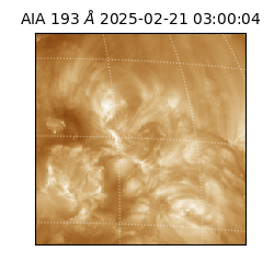 saia - 2025-02-21T03:00:04.843000