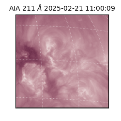 saia - 2025-02-21T11:00:09.626000