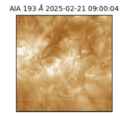 saia - 2025-02-21T09:00:04.843000