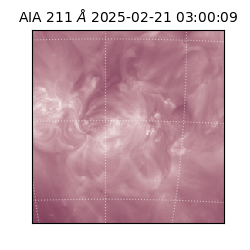 saia - 2025-02-21T03:00:09.630000