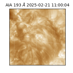 saia - 2025-02-21T11:00:04.843000