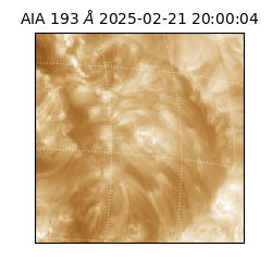 saia - 2025-02-21T20:00:04.843000