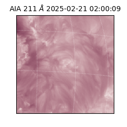 saia - 2025-02-21T02:00:09.630000