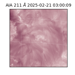 saia - 2025-02-21T03:00:09.630000