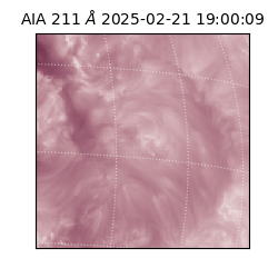 saia - 2025-02-21T19:00:09.631000