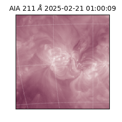 saia - 2025-02-21T01:00:09.625000