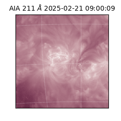 saia - 2025-02-21T09:00:09.629000