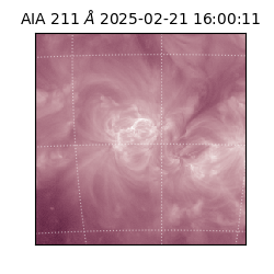 saia - 2025-02-21T16:00:11.940000