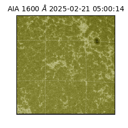 saia - 2025-02-21T05:00:14.126000