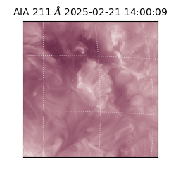 saia - 2025-02-21T14:00:09.626000