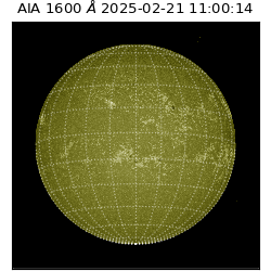 saia - 2025-02-21T11:00:14.132000