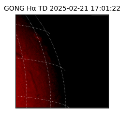 gong - 2025-02-21T17:01:22