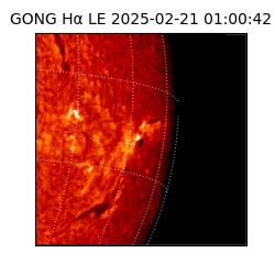 gong - 2025-02-21T01:00:42
