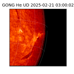 gong - 2025-02-21T03:00:02