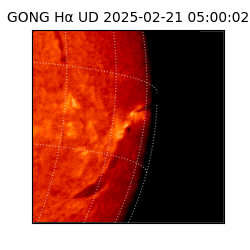 gong - 2025-02-21T05:00:02
