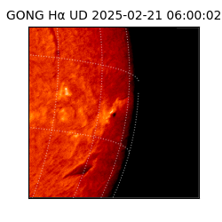 gong - 2025-02-21T06:00:02