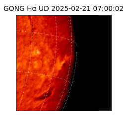 gong - 2025-02-21T07:00:02