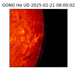 gong - 2025-02-21T08:00:02