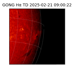 gong - 2025-02-21T09:00:22